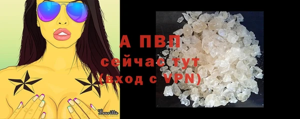 гидра Бронницы