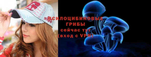 гидра Бронницы