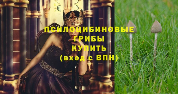 герыч Бугульма