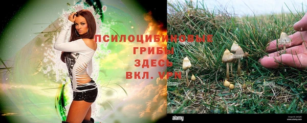 каннабис Бородино