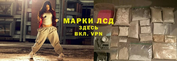 ГАЛЛЮЦИНОГЕННЫЕ ГРИБЫ Богданович