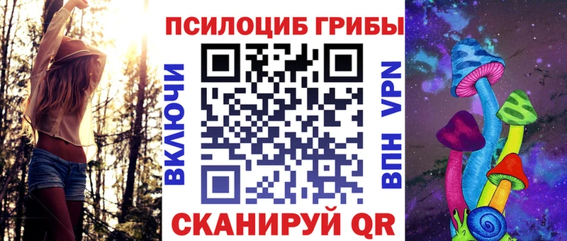 купить наркоту  Кемерово  Галлюциногенные грибы GOLDEN TEACHER 